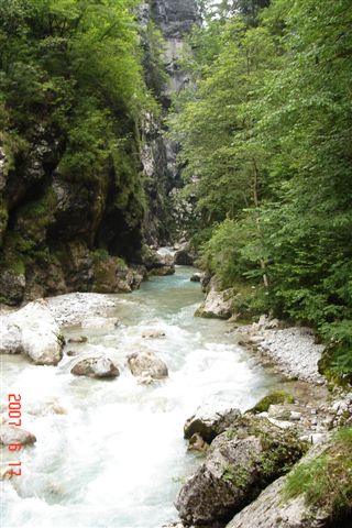 DSC05464.JPG