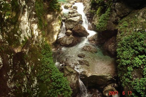 DSC05475.JPG