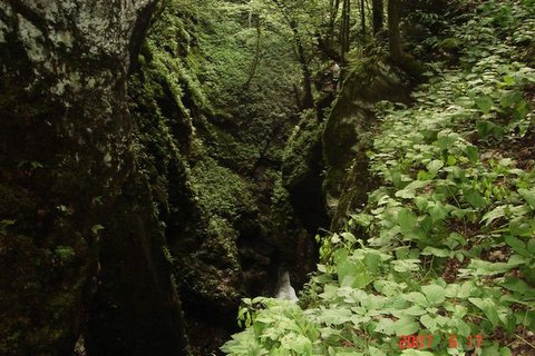 DSC05480.JPG