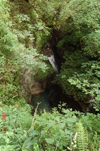 DSC05482.JPG