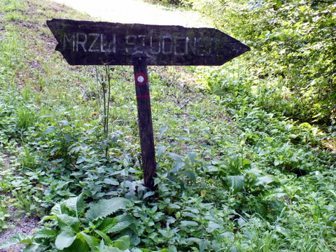DSCF0859.JPG
