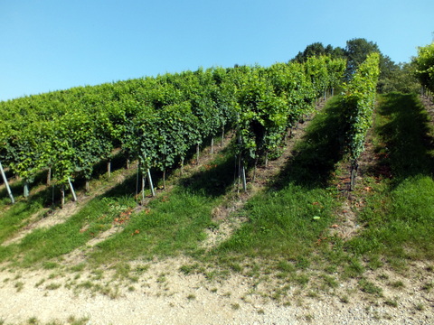 DSCF0864.JPG