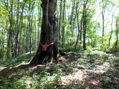 DSCF0873.JPG