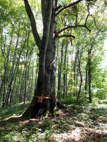 DSCF0874.JPG
