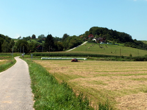 DSCF0884.JPG