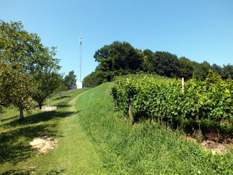 DSCF0891.JPG