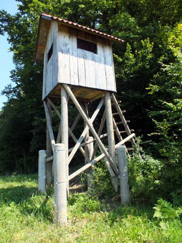 DSCF0892.JPG