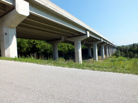 DSCF0909.JPG