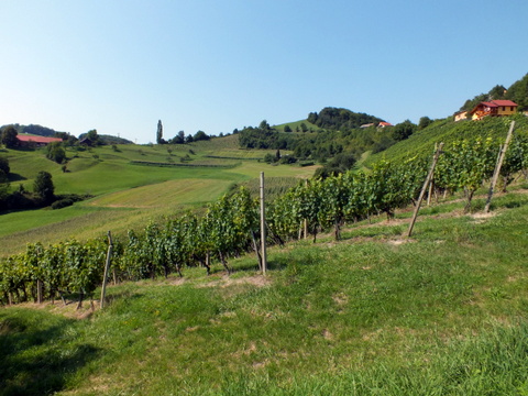 DSCF0910.JPG