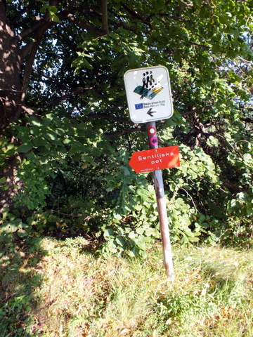DSCF0922.JPG