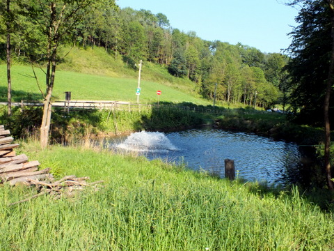 DSCF0923.JPG