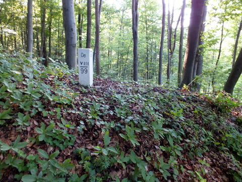 DSCF0926.JPG