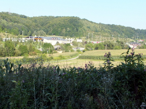 DSCF0927.JPG