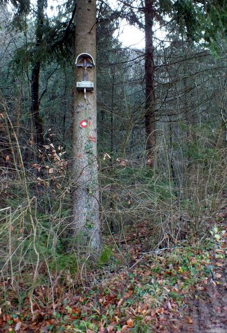 DSCF1879.JPG