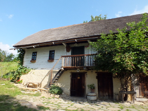 DSCF1379.JPG