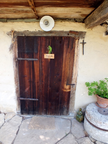DSCF1380.JPG