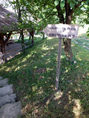 DSCF1382.JPG