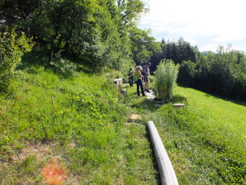 DSCF1383.JPG
