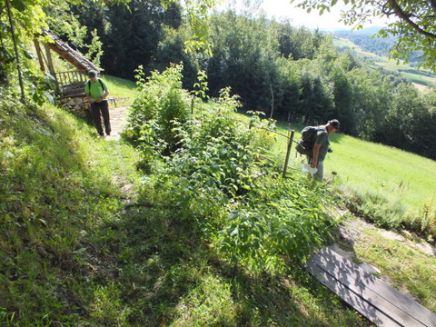 DSCF1387.JPG