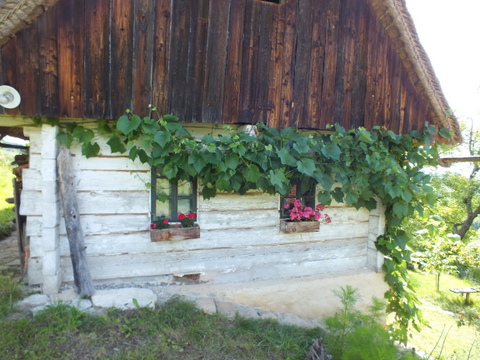 DSCF1388.JPG