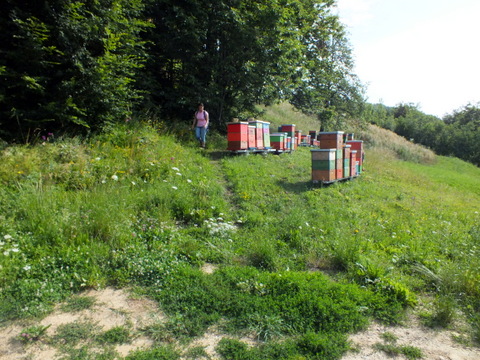 DSCF1392.JPG