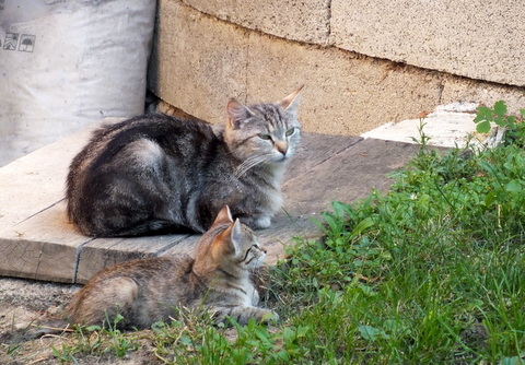 DSCF1396.JPG