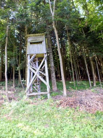 DSCF1398.JPG