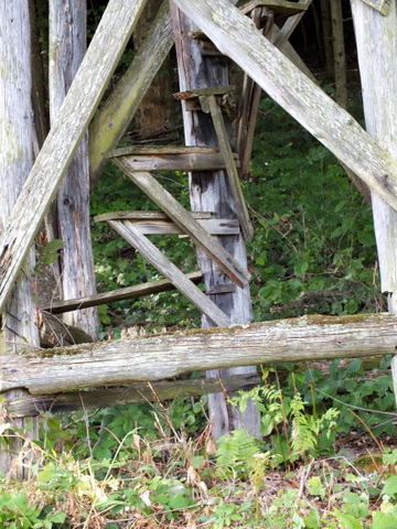 DSCF1399.JPG