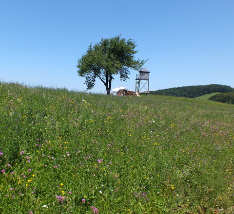 DSCF1415.JPG