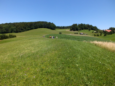 DSCF1431.JPG