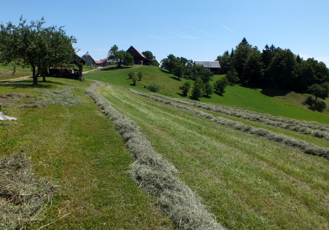 DSCF1433.JPG