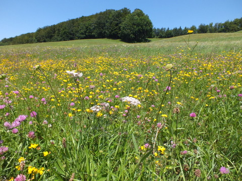 DSCF1434.JPG