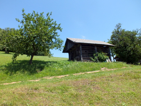 DSCF1453.JPG