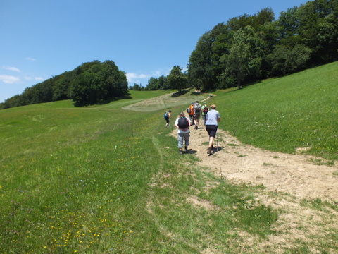 DSCF1454.JPG