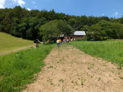 DSCF1474.JPG