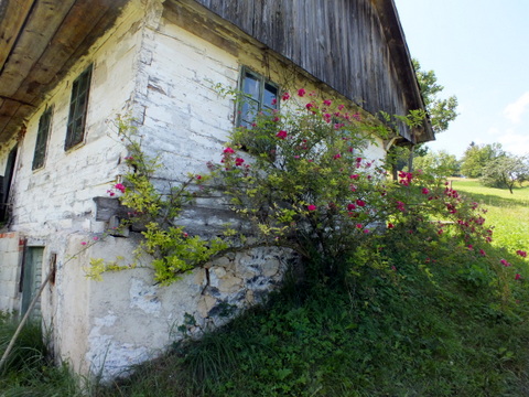 DSCF1478.JPG