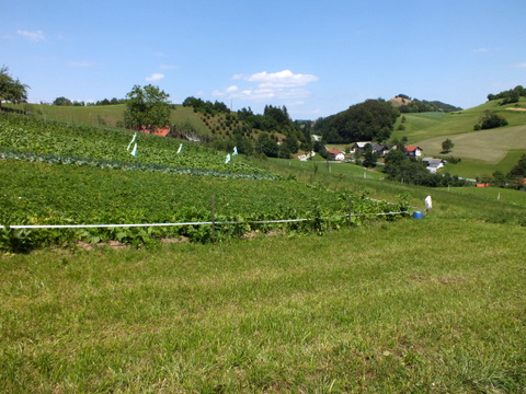 DSCF1479.JPG