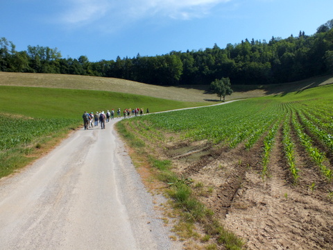 DSCF9870.JPG