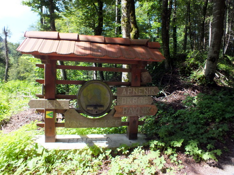 DSCF9881.JPG
