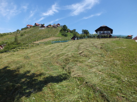 DSCF9905.JPG