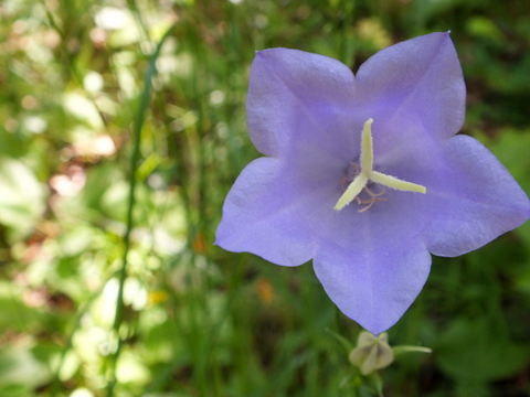 DSCF9928.JPG