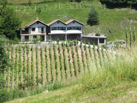 DSCF9938.JPG