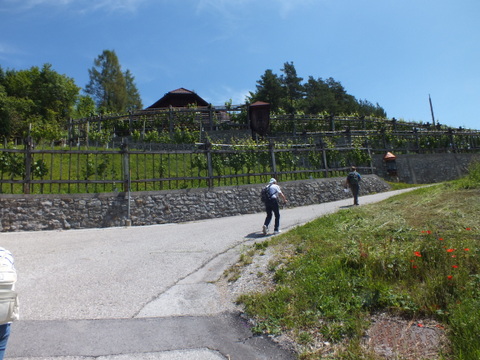 DSCF9942.JPG