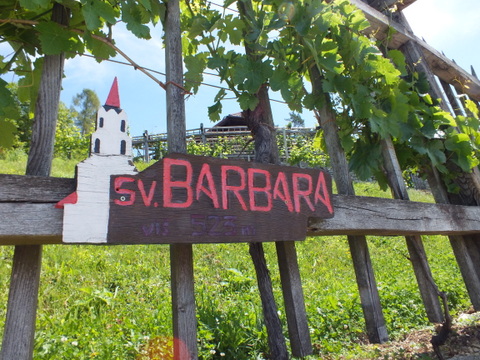DSCF9946.JPG
