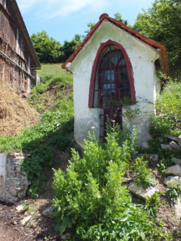 DSCF9950.JPG