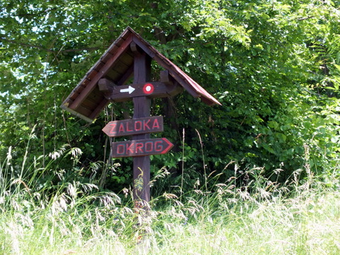 DSCF9953.JPG