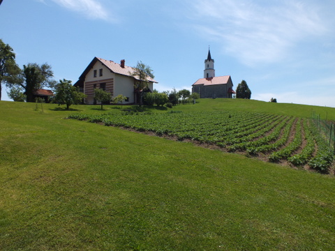 DSCF9964.JPG