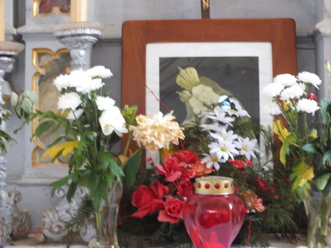 DSCF9981.JPG