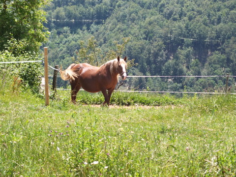 DSCF9984.JPG