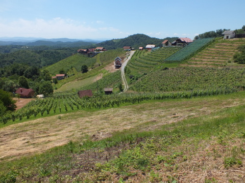 DSCF9986.JPG